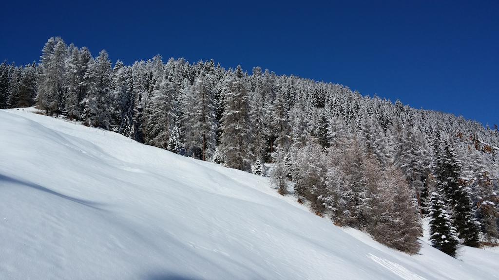 Ferienwohnung Gadenstatt Davos Exteriér fotografie