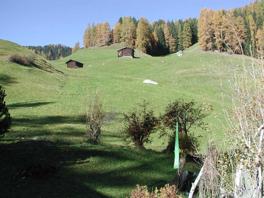 Ferienwohnung Gadenstatt Davos Exteriér fotografie